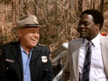Howard E. Rollins Jr.