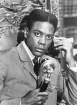 Howard E. Rollins Jr.