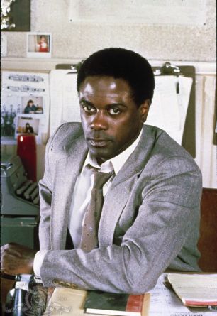 Howard E. Rollins Jr.