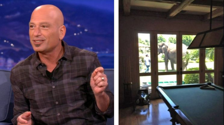 Howie Mandel
