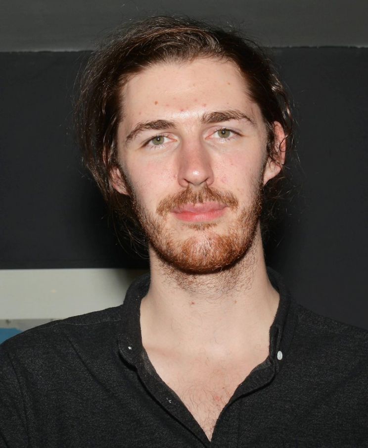 Hozier's Biography - Wall Of Celebrities