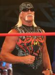 Hulk Hogan