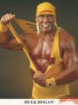 Hulk Hogan