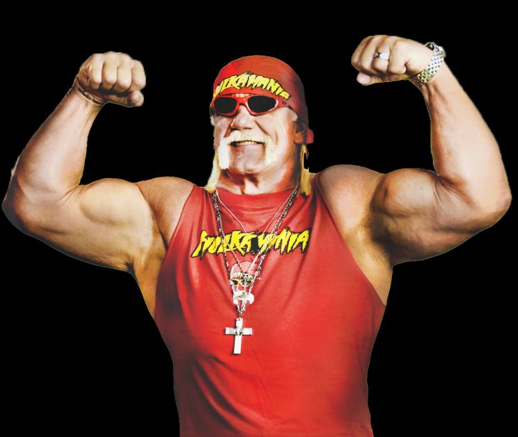 Hulk Hogan