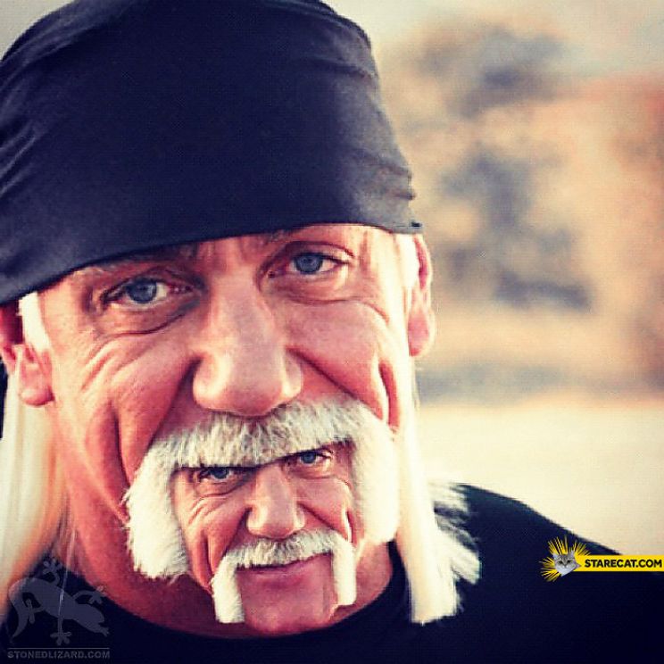 Hulk Hogan