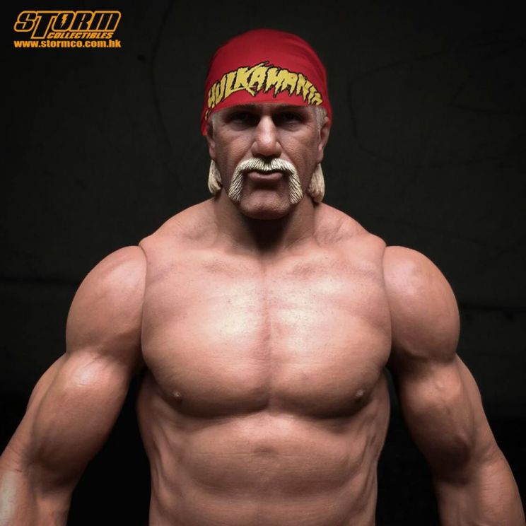 Hulk Hogan