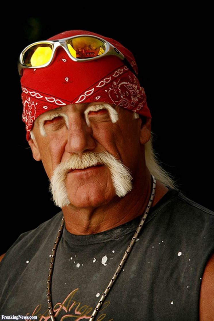 Hulk Hogan