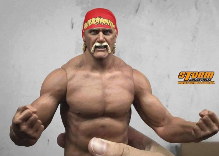 Hulk Hogan