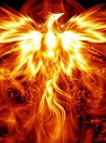 Hunter Phoenix