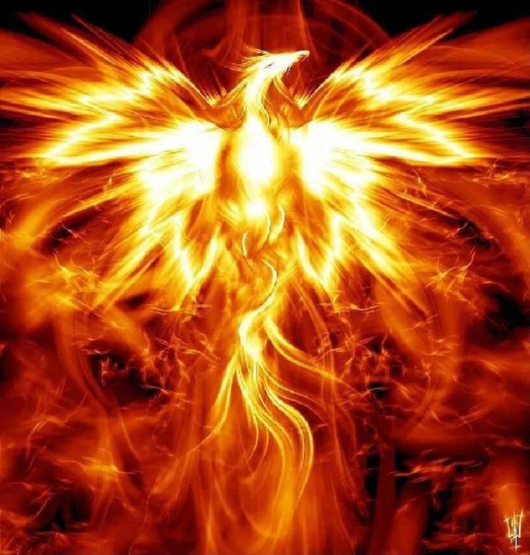 Hunter Phoenix