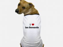 Ian Bernardo