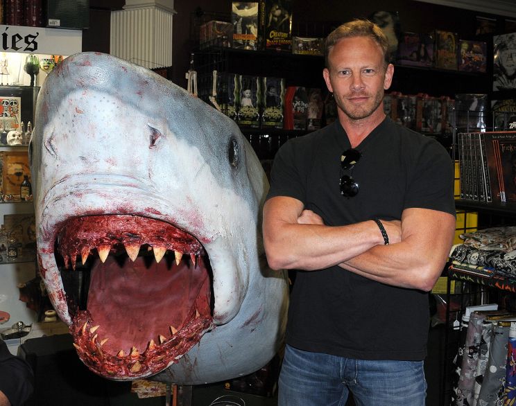 Ian Ziering