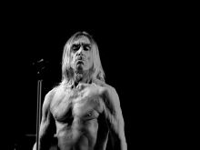 Iggy Pop