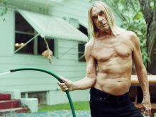 Iggy Pop