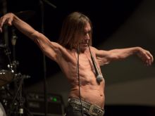 Iggy Pop