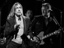 Iggy Pop