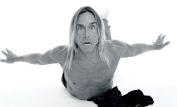 Iggy Pop