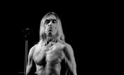 Iggy Pop