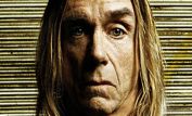 Iggy Pop