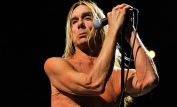 Iggy Pop