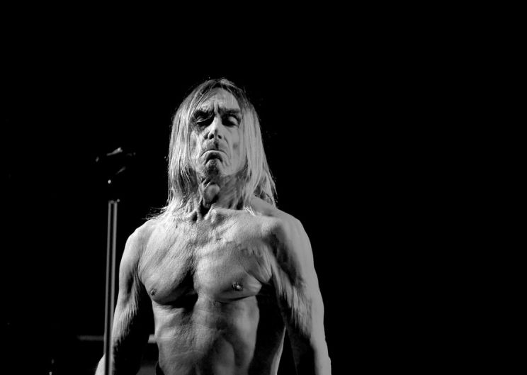 Iggy Pop