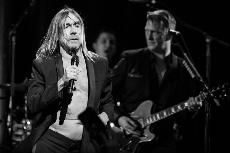 Iggy Pop