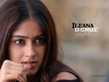 Ileana Toma
