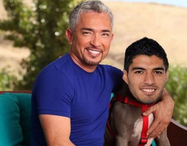 Ilusion Millan