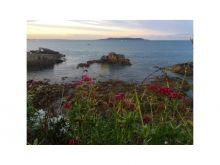 India Mullen #3903080 picture (Landscape Medium)