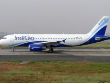 Indigo