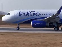 Indigo