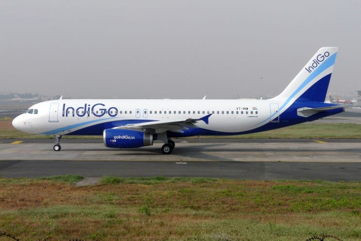 Indigo