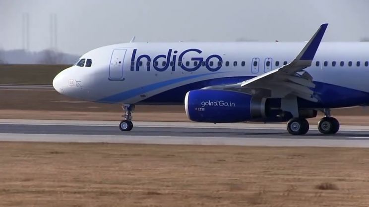 Indigo