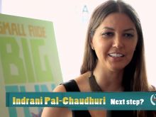 Indrani Pal-Chaudhuri