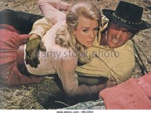 Inger Stevens photo