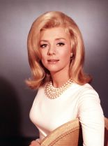 Inger Stevens photo