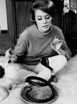Inger Stevens photo