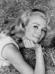 Inger Stevens