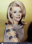 Inger Stevens