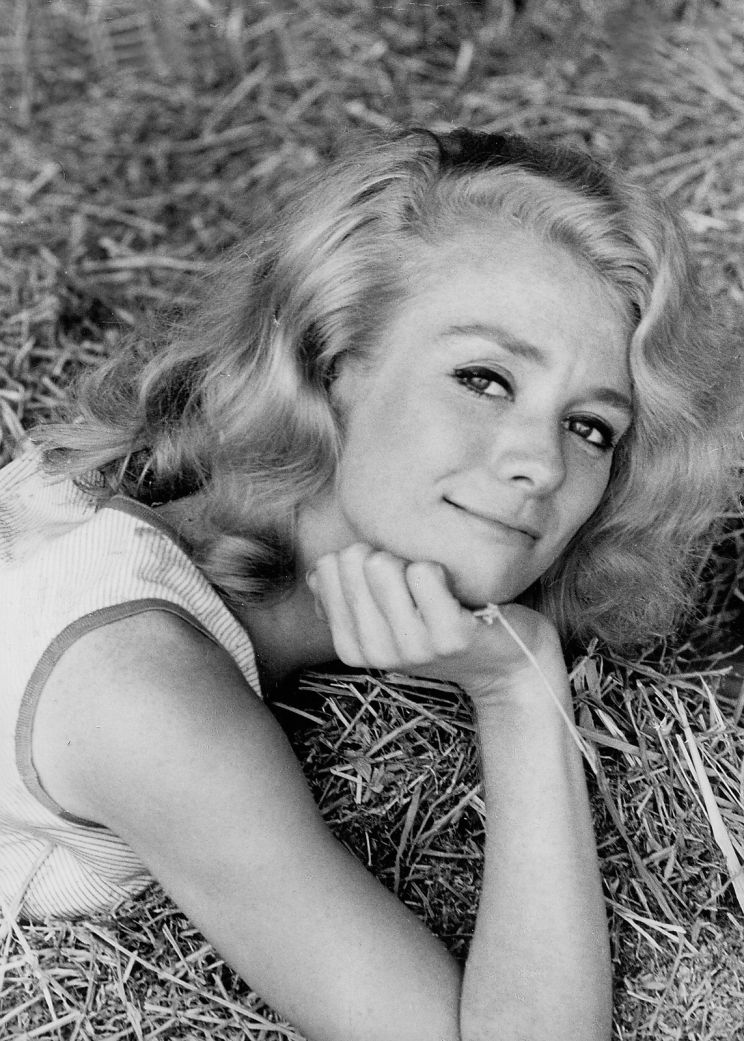 Inger Stevens