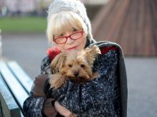 Ingrid Steeger