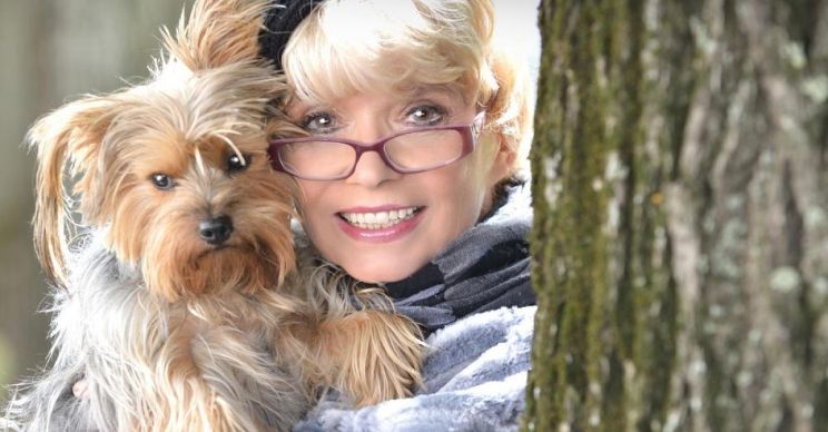 Ingrid Steeger