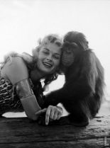 Irish McCalla #3969645 picture (Portrait Medium)