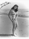 Irish McCalla