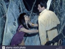 Irwin Allen