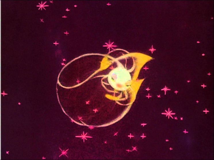 Irwin Kostal