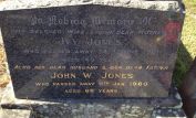 Ivy Jones