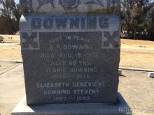 J. Downing