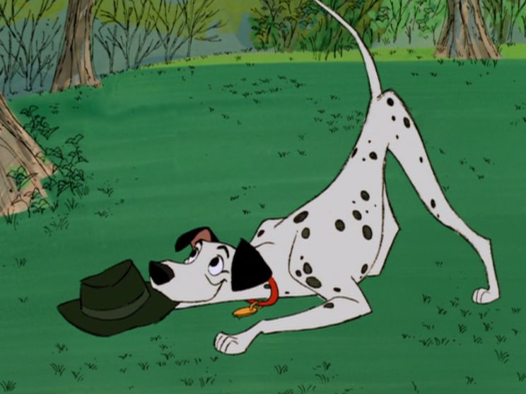 J. Pat O'Malley