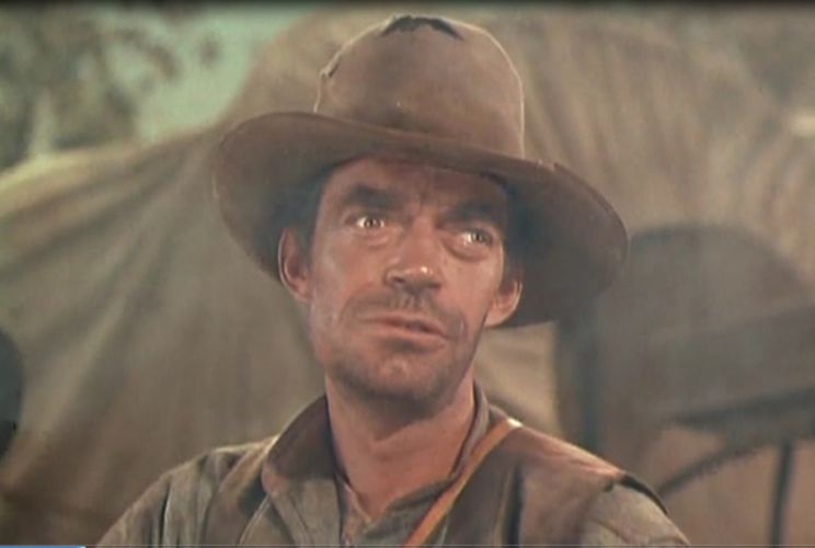 Jack Elam